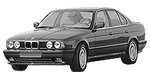 BMW E34 P250F Fault Code