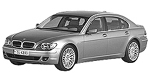 BMW E65 P250F Fault Code