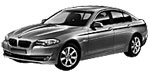 BMW F10 P250F Fault Code